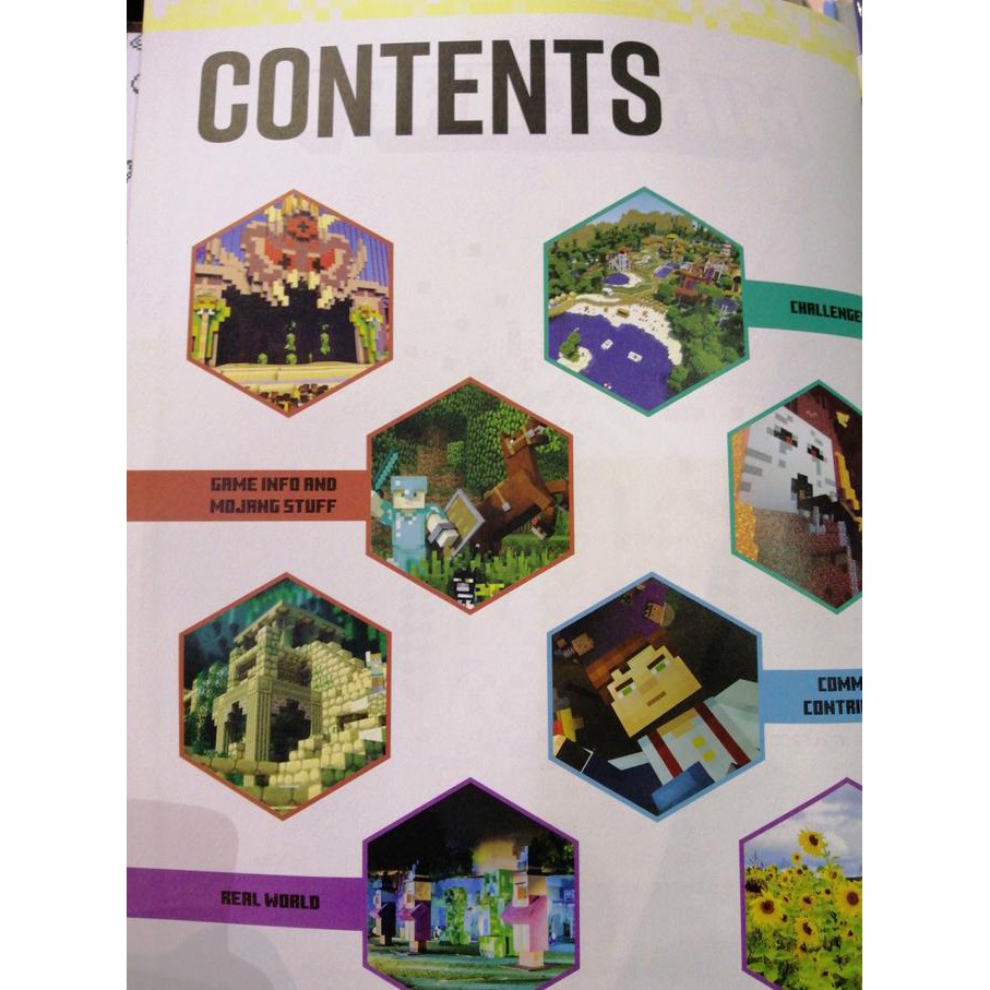 Mojang Minecraft Annual 2018 Import Book