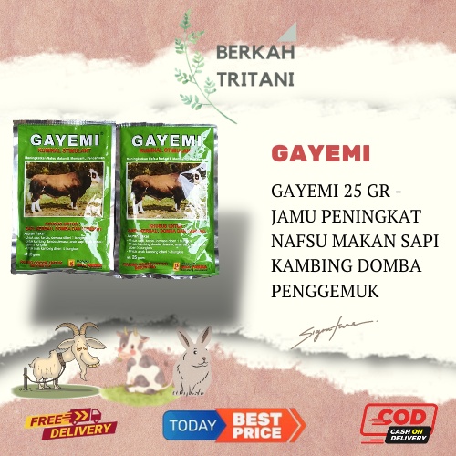 Gayemi Eka Farma obat menambah nafsu makan hewan ternak sapi kambing domba Eka Farma