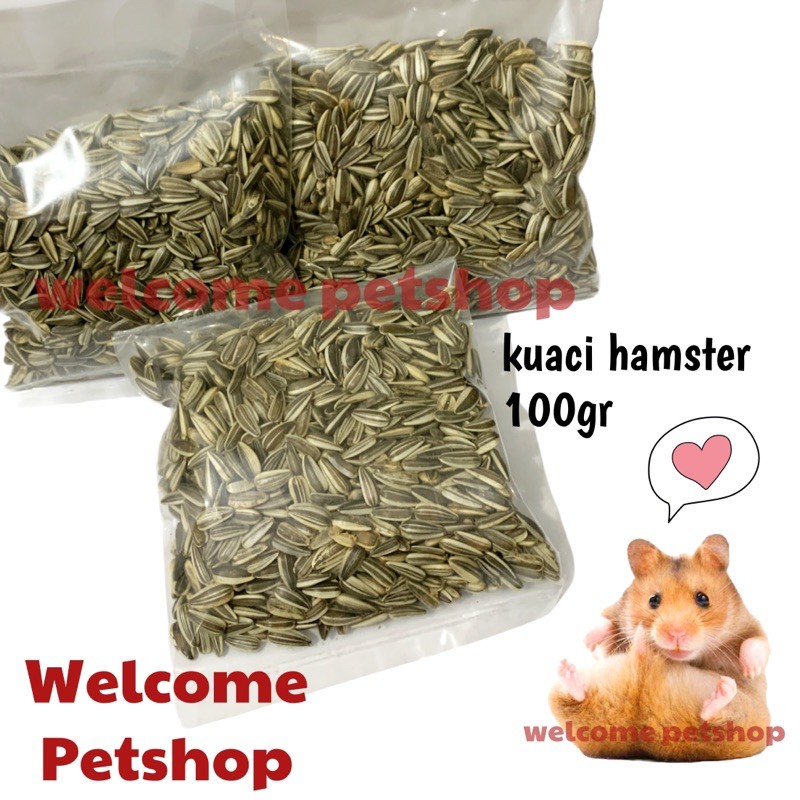 Kuaci Hamster 100gram / Snack Hamster / Makanan Hamster