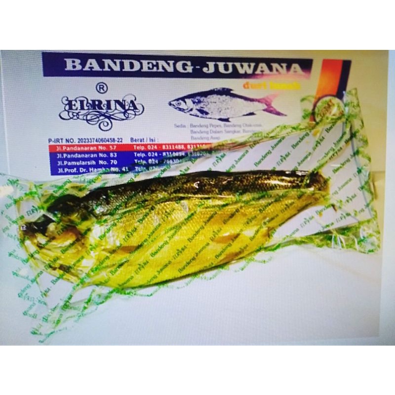 

Bandeng Juwana ( 1ekor )