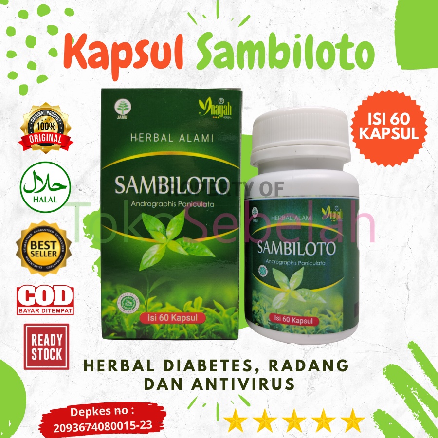 Jual Kapsul Sambiloto Herbal Inayah Kapsul Ijin Depkes Halal Original Kapsul Ekstrak Daun