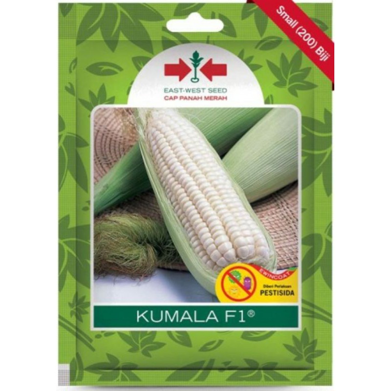Bibit Benih Jagung Manis Kumala F1