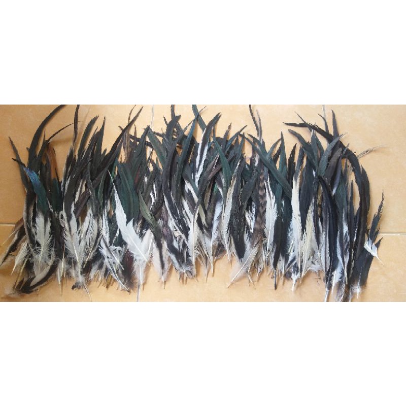 Bulu Ekor Ayam Panjang Jago Jantan Hitam Putih Isi 10 Bulu Lancur Topi Indian Pakaian Adat Papua - B