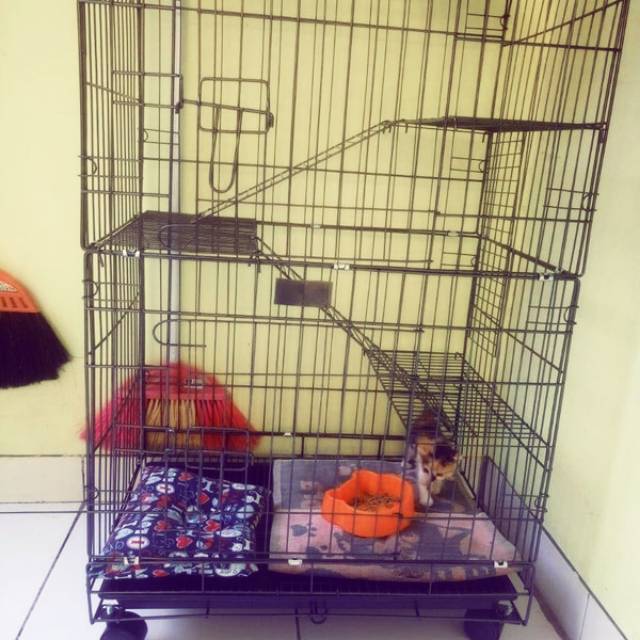 Bekas second Preloved kandang kucing