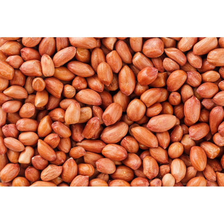 

Kacang Tanah | Kacang Cino | Kacang Sambal | Ukuran Sedang | Kualitas Super
