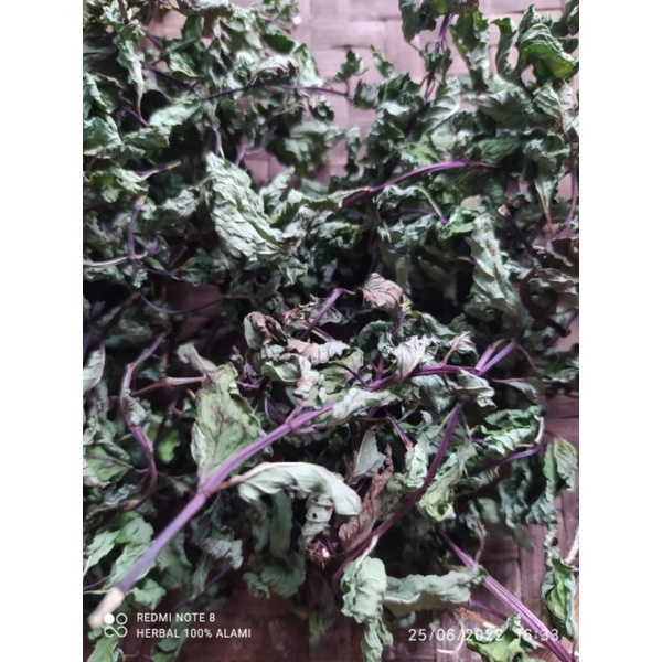 

daun min kering obat herbal