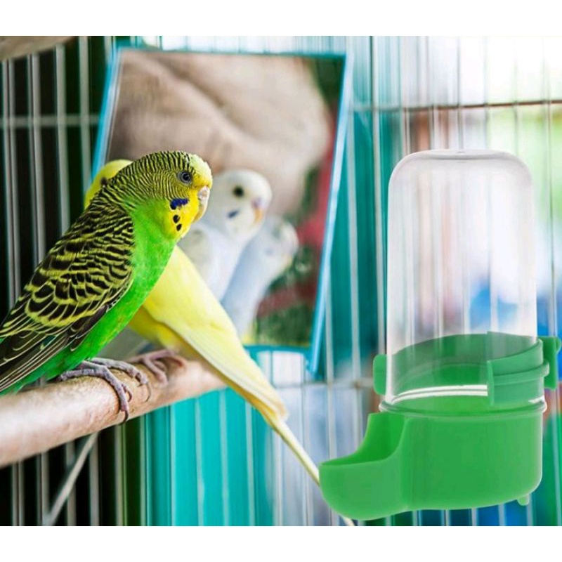 Tempat Makan Minum Burung Hamster Otomatis AUTOMATIC DISPENSER