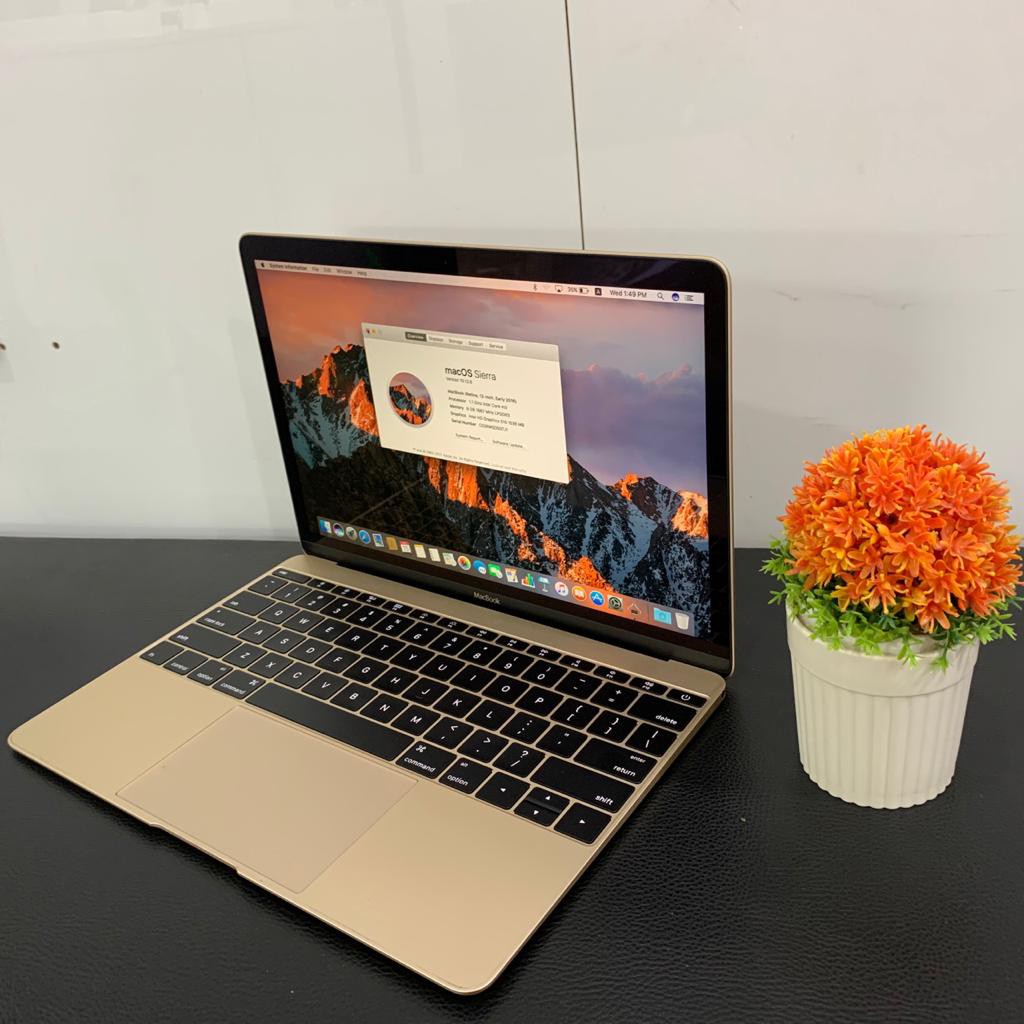 MacBook Retina 12 inch Early 2016 Core M3 1.1GHz Ram 8 GB Ssd 256 GB