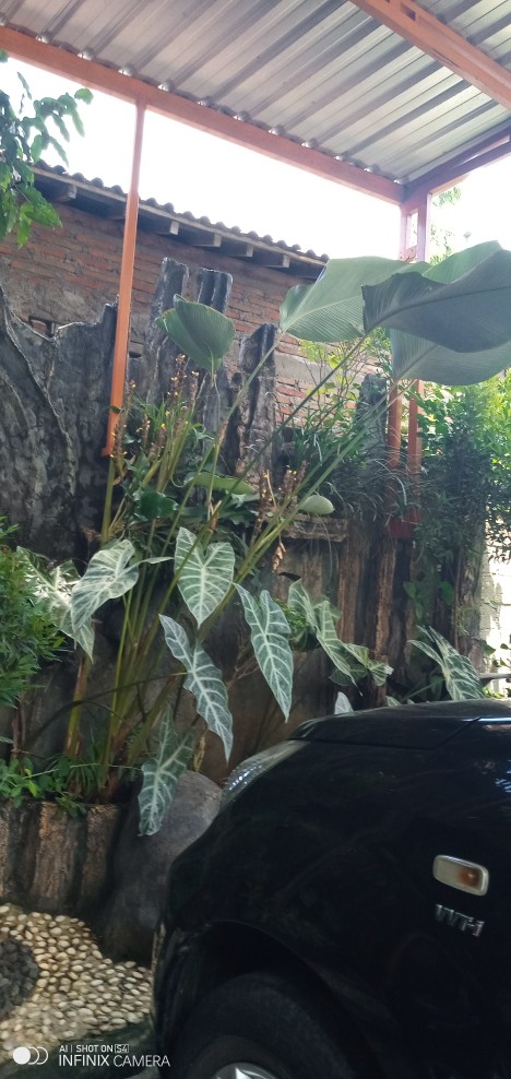 Tirai Magnet Anti Nyamuk