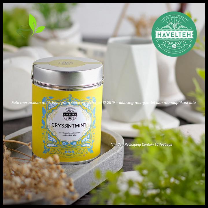 

Havelteh - Crysantmint Kaleng 10Tb Havel Tea Crysanthemum Teh Bunga