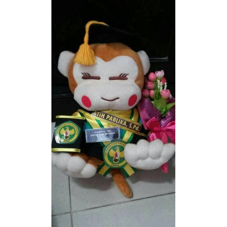 

LULUSOKIJS- BONEKA WISUDA CICI YOYO 40CM LENGKAP -ANEKA-BONEKA-WISUDA.