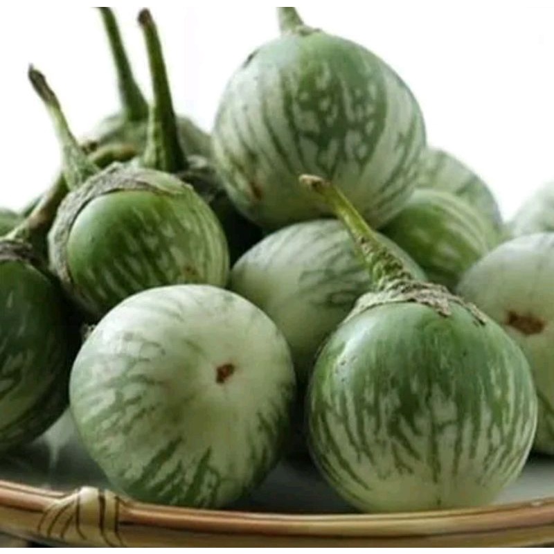 

terong lalap/terong bulat (500 gram)