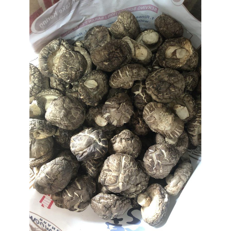 

TERMURAH Dried Mushroom / Jamur Hioko / Jamur Payung 100gr Kode 35
