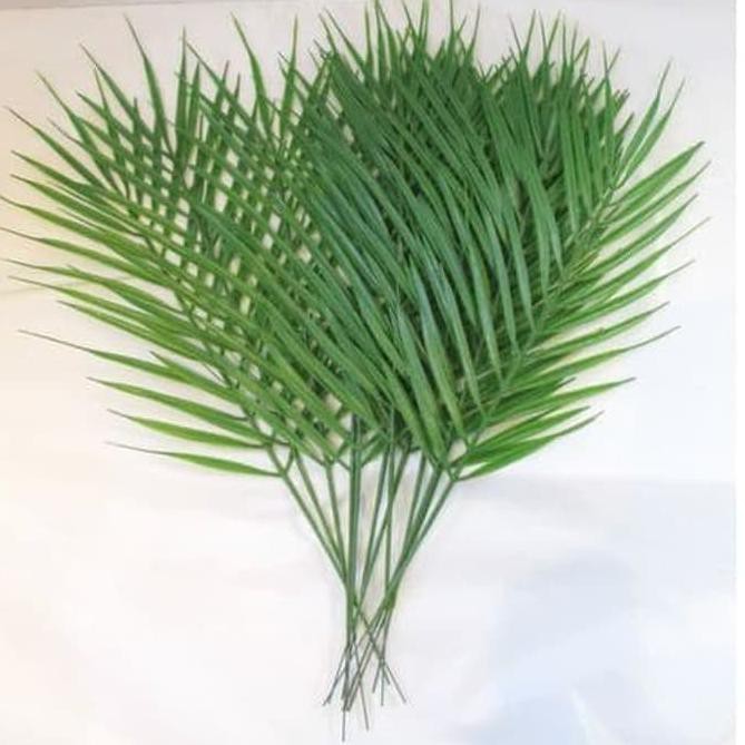 Stok terbaru Daun Kelapa Plastik Artificial / Daun Palem / Dekorasi Scandinavian Aesthetic Dekorasi