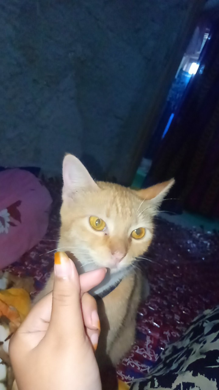 Gamis Batik Usman Rayon Premium Gamis Twill Rayon - Daster Twill - Gamis Terbaru 2021 - Gamis Syari