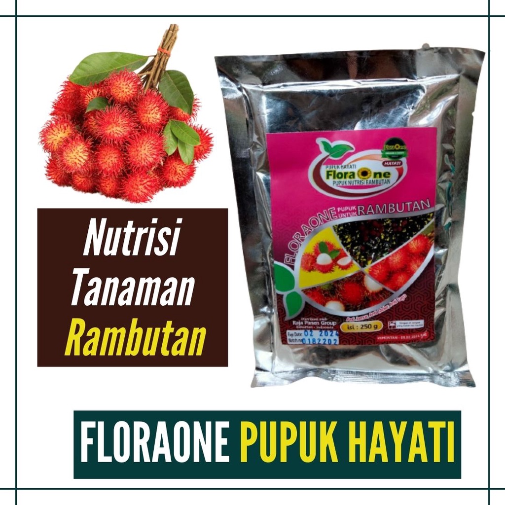 Pupuk Rambutan Agar Berbuah Lebat, Booster Hayati Rambutan Pupuk Organik Tabulampot
