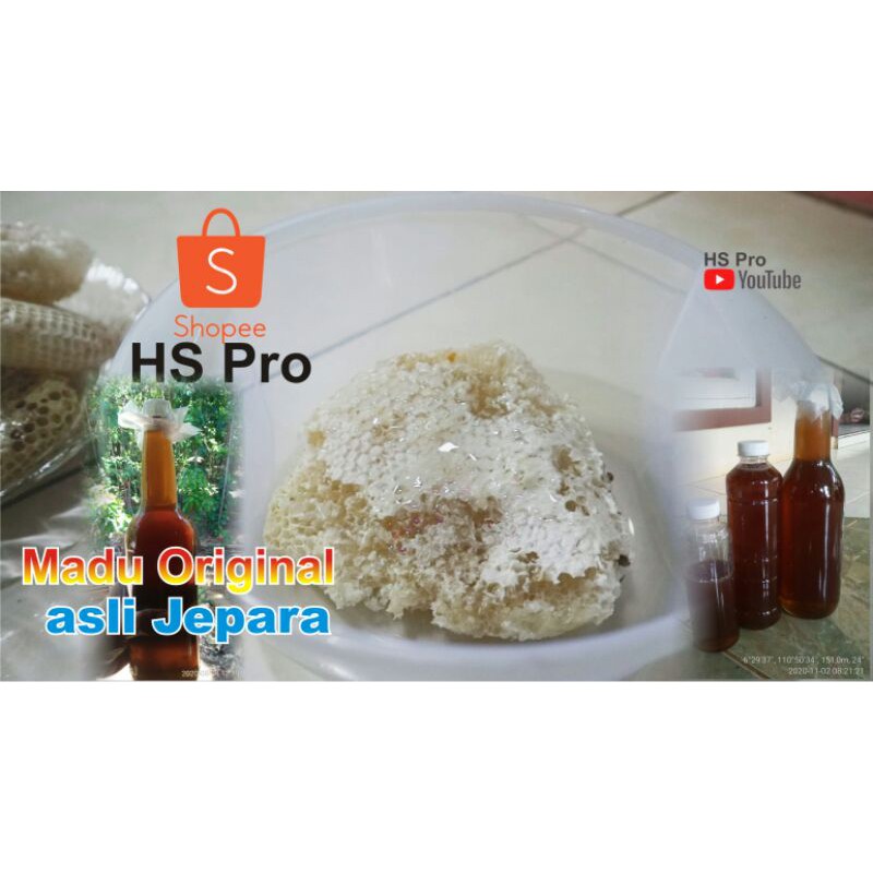 

Madu asli liar
