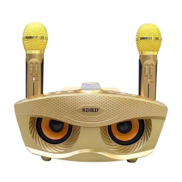 Mic Karaoke Wireless Speaker Bluetoth Sdrd Sd 306 / Sd 309 Dua Mic