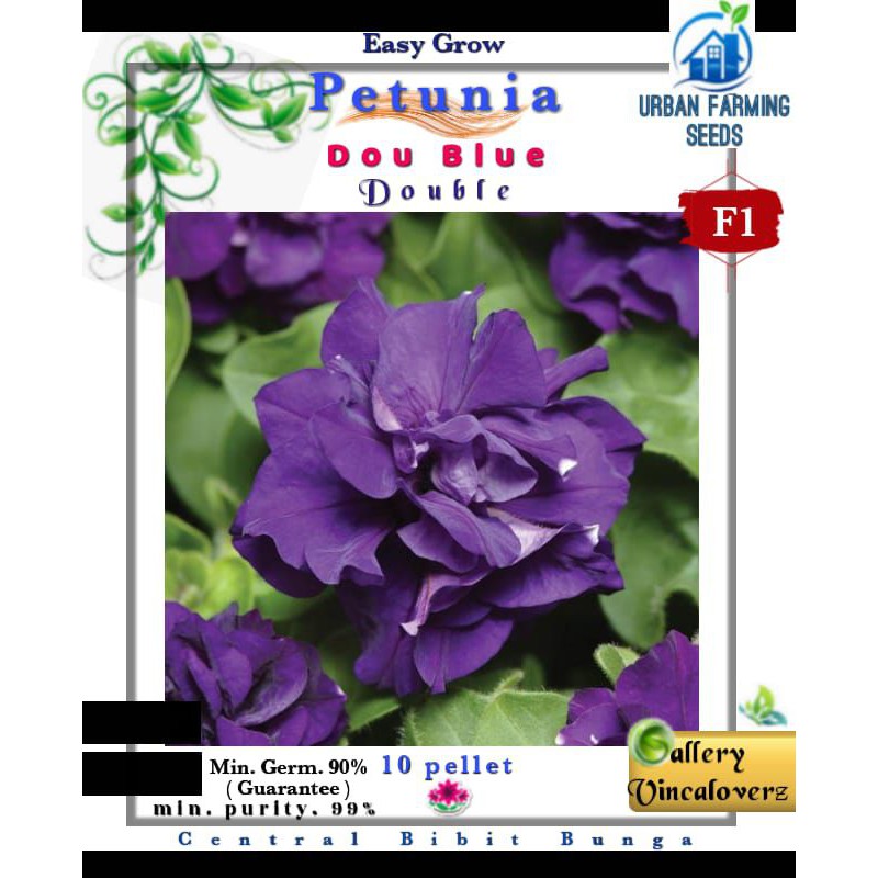 Benih Petunia Duo Blue Double F1