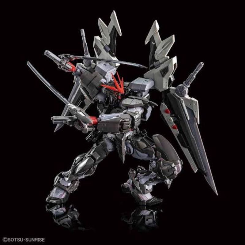Mr. Model Astray Noir Hirm Mobile Suit 1/100 MG  Mobil Kit by MJH