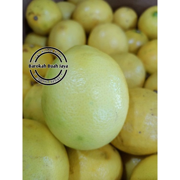 

JERUK LEMON CHINA 500GR