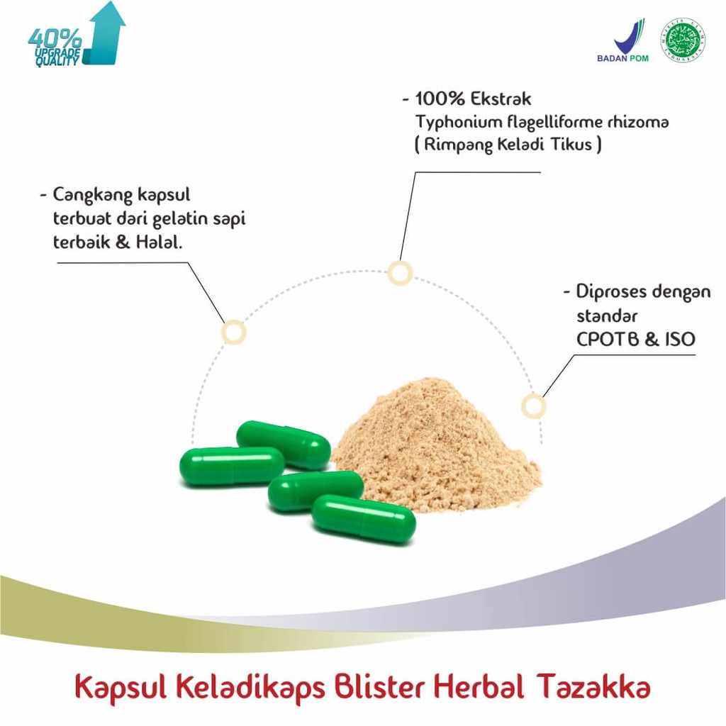 obat herbal kapsul blister keladikaps original tazakka ampuh mengobati kanker tumor miom alami