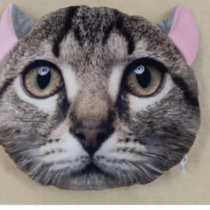 ⅍ Bantal Kucing, Bantal Kepala Kucing, Cat Cushion ▲