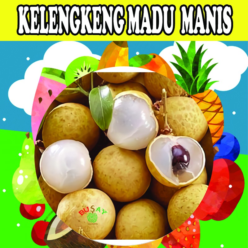 

KELENGKENG MADU MANIS PREMIUM BUAH SEGAR LENGKENG 1Kg