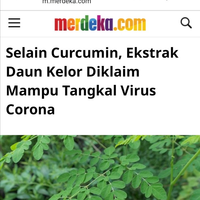 Mori Capsule - Isi 60 Kapsul Daun Kelor (Moringa)