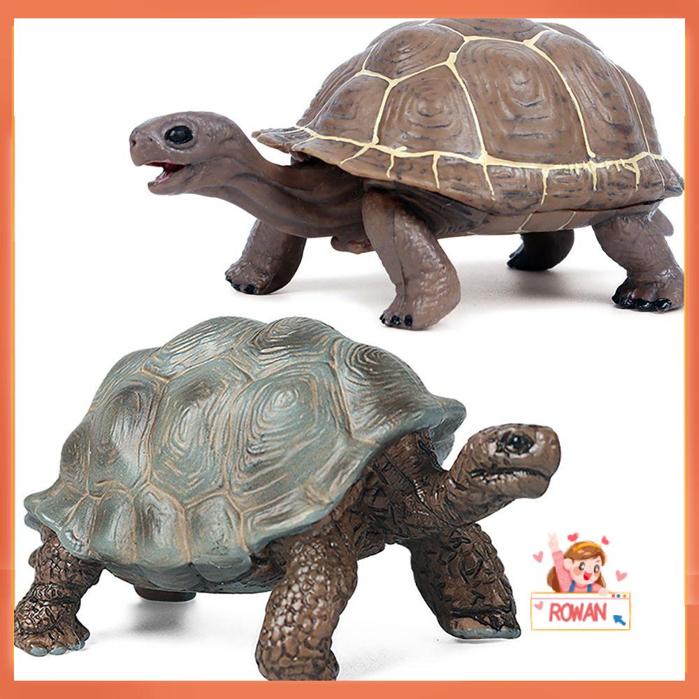 R-flower Mainan Edukasi Bentuk Kurakura Untuk Anak-Anak