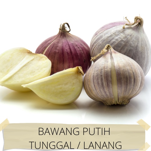 Bawang Putih Tunggal Lanang Jamin Bagus dan Fresh