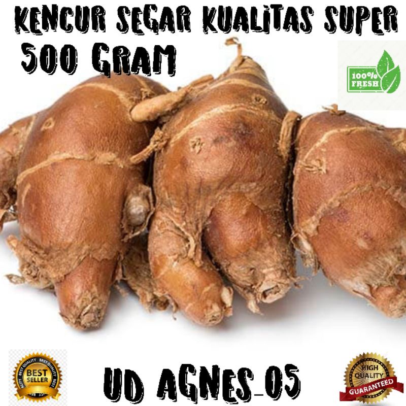 

kencur FRESH kualitas super 500 gram