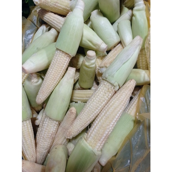 

Anak Jagung