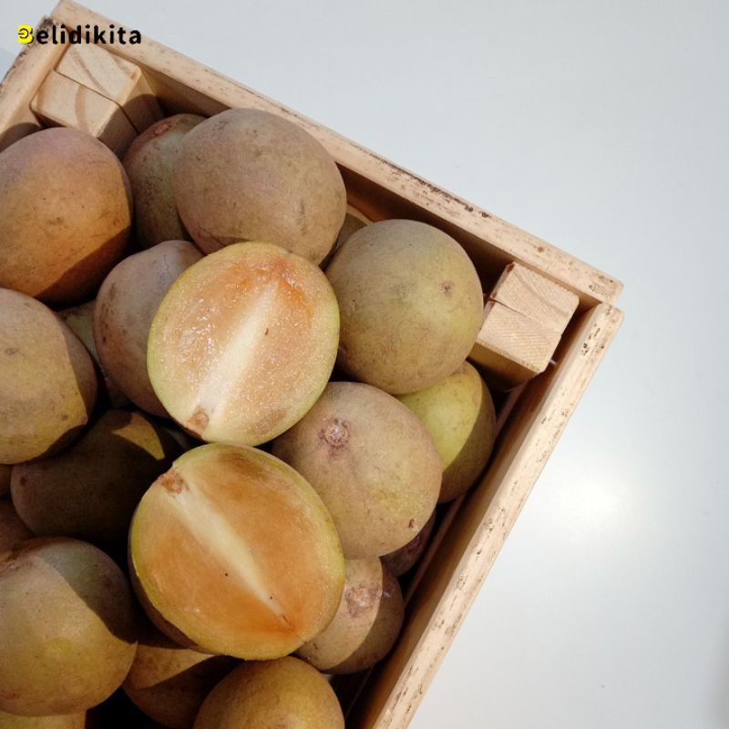 

Sawo Manila | Sawo Jogja | Sawo Matang