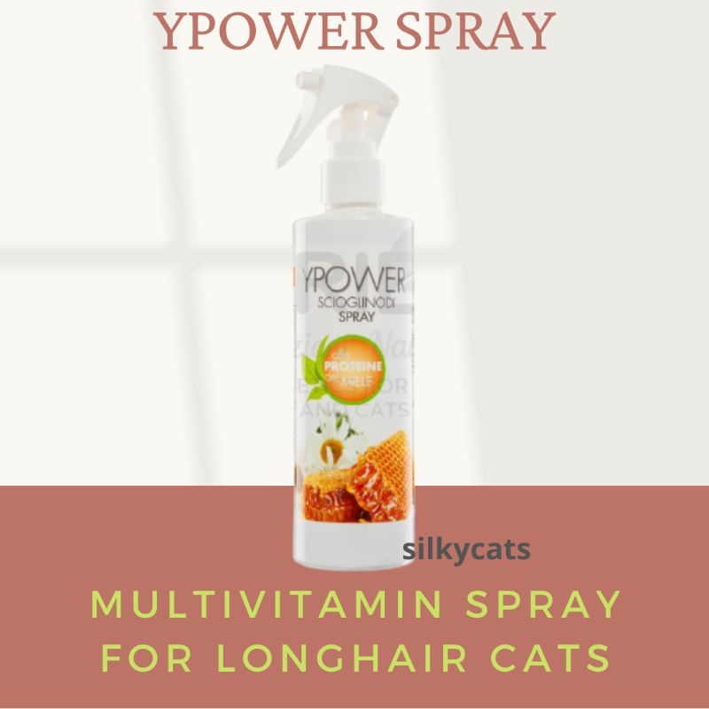 YPOWER SPRAY , volumizing &amp; multivitamin coat spray