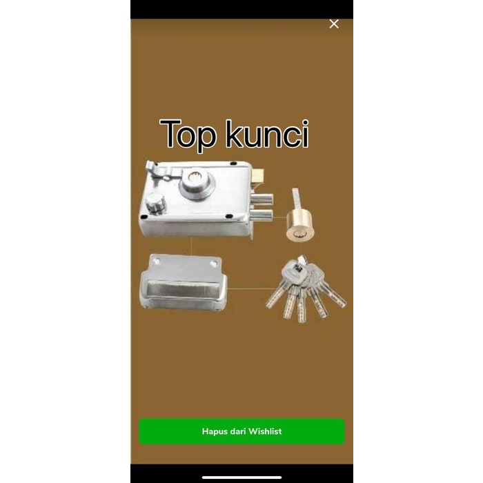 Delion | Kunci Pintu Otomatis