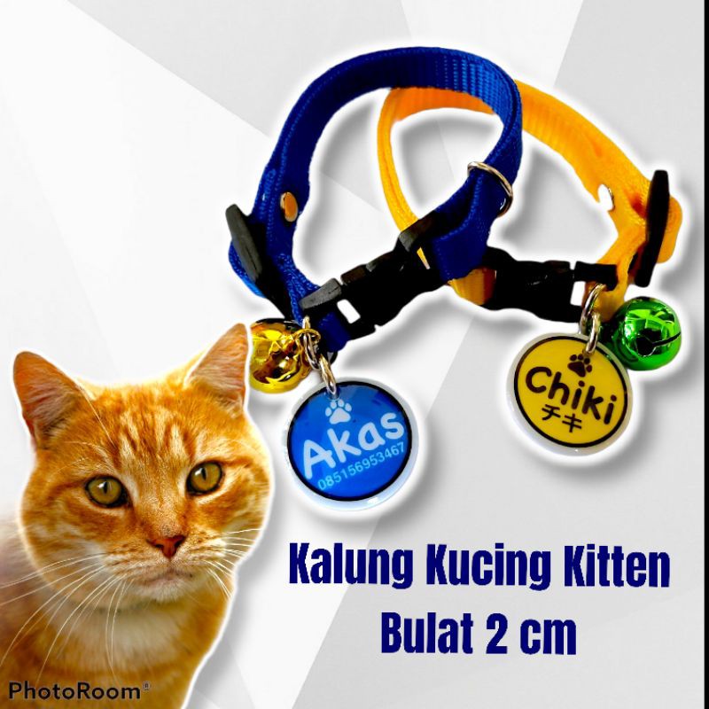 Kalung Kucing Kitten Nama Custom  Shopee Indonesia