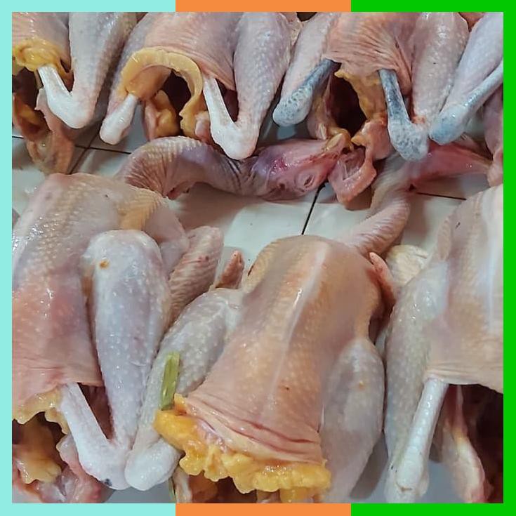 

Ayam Kampung Fresh Ukuran Besar