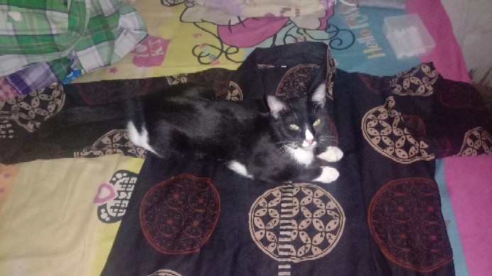 Batik Couple - Batik Wanita - Batik Pria  Model Kekinian Trendy By Batik Dua Putri Collection