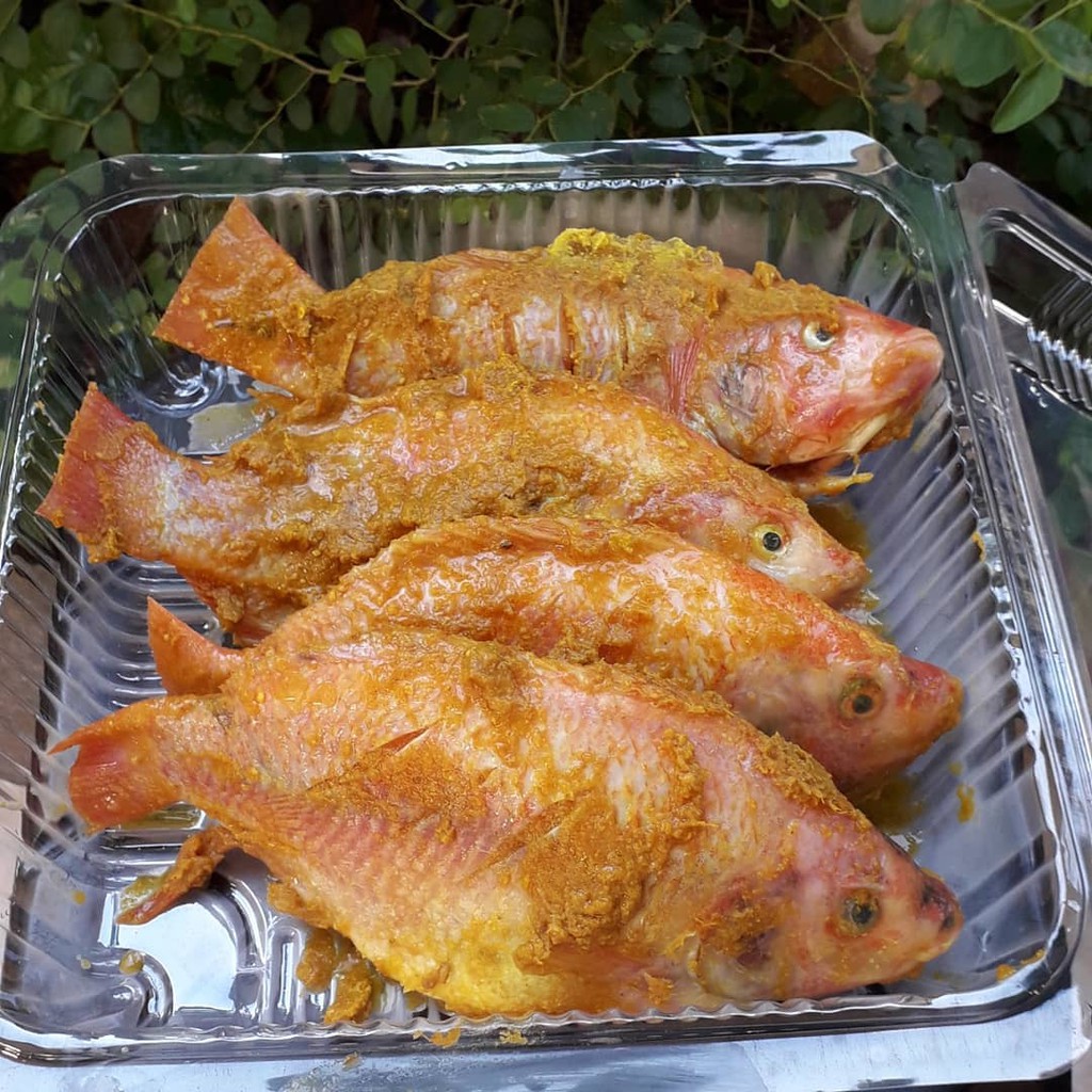 

ikan nila segar bumbu kuning siap goreng