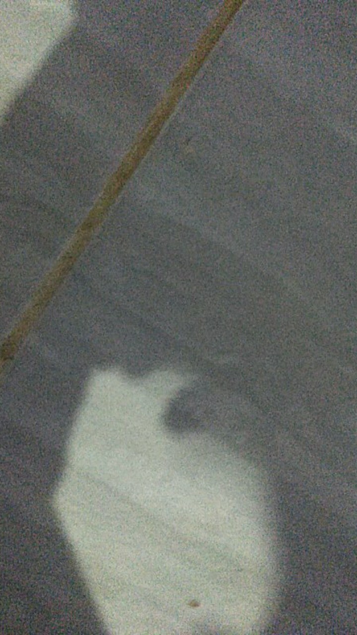 Tikar Lipat Orlin Original Untuk Piknik Ukuran Standart 200x150 Cm Motif Bunga