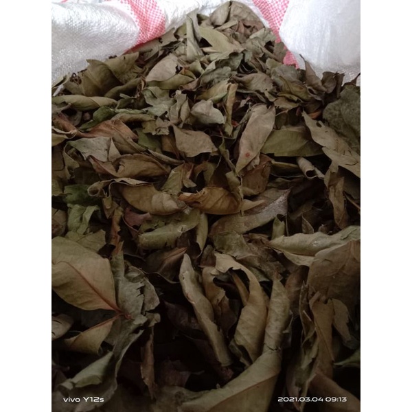

DAUN SALAM KERING 250 Grm