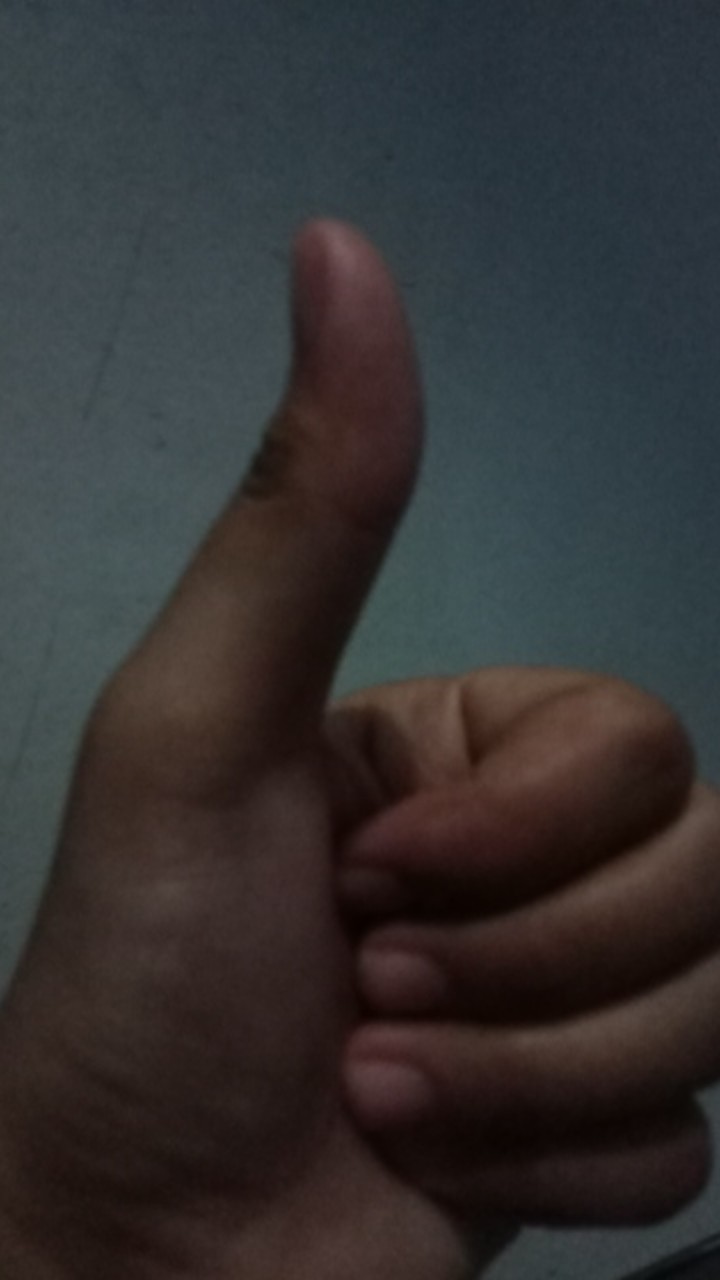 Gembok Rrt 50 Mm Kng Majesty