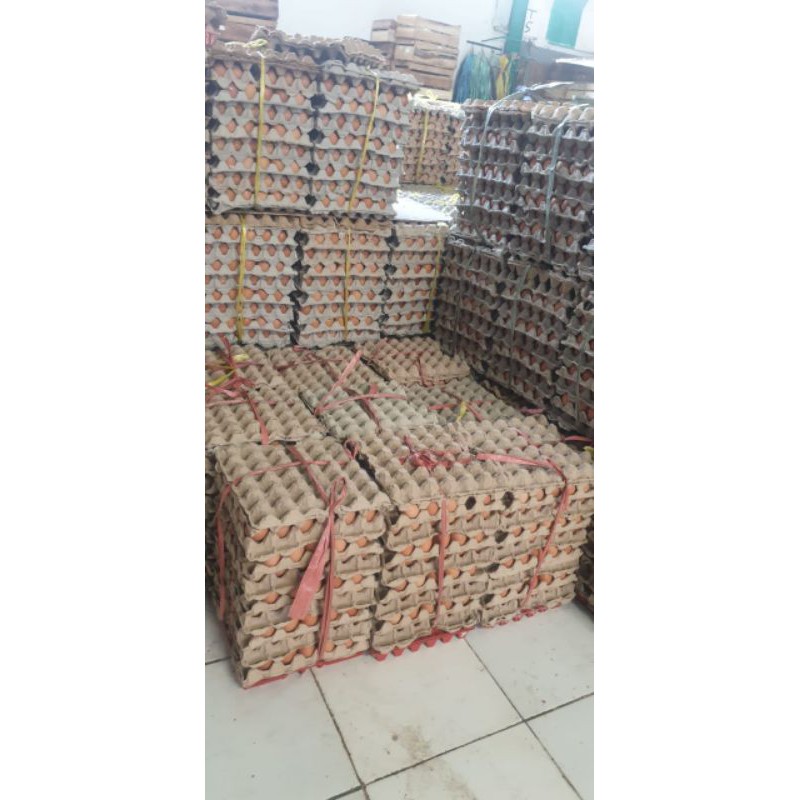 

RB TELUR AYAM NEGRI 15 KG KULIT COKELAT FRESH DARI FARM