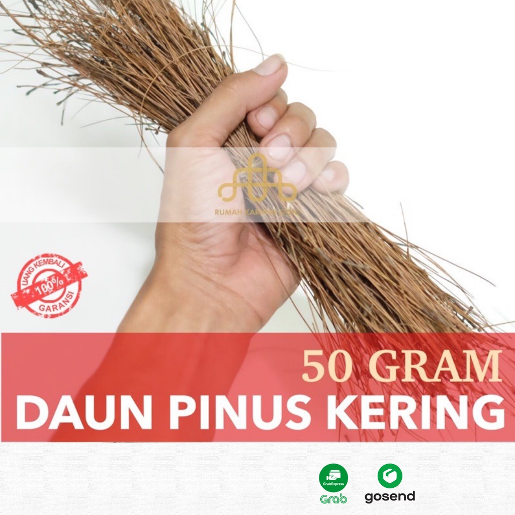 Dekorasi Mahar Daun Pinus Cemara Kering 50 Gram - Rumput Alas Seserahan Hampers - Bahan Sarang Burung Birdnest