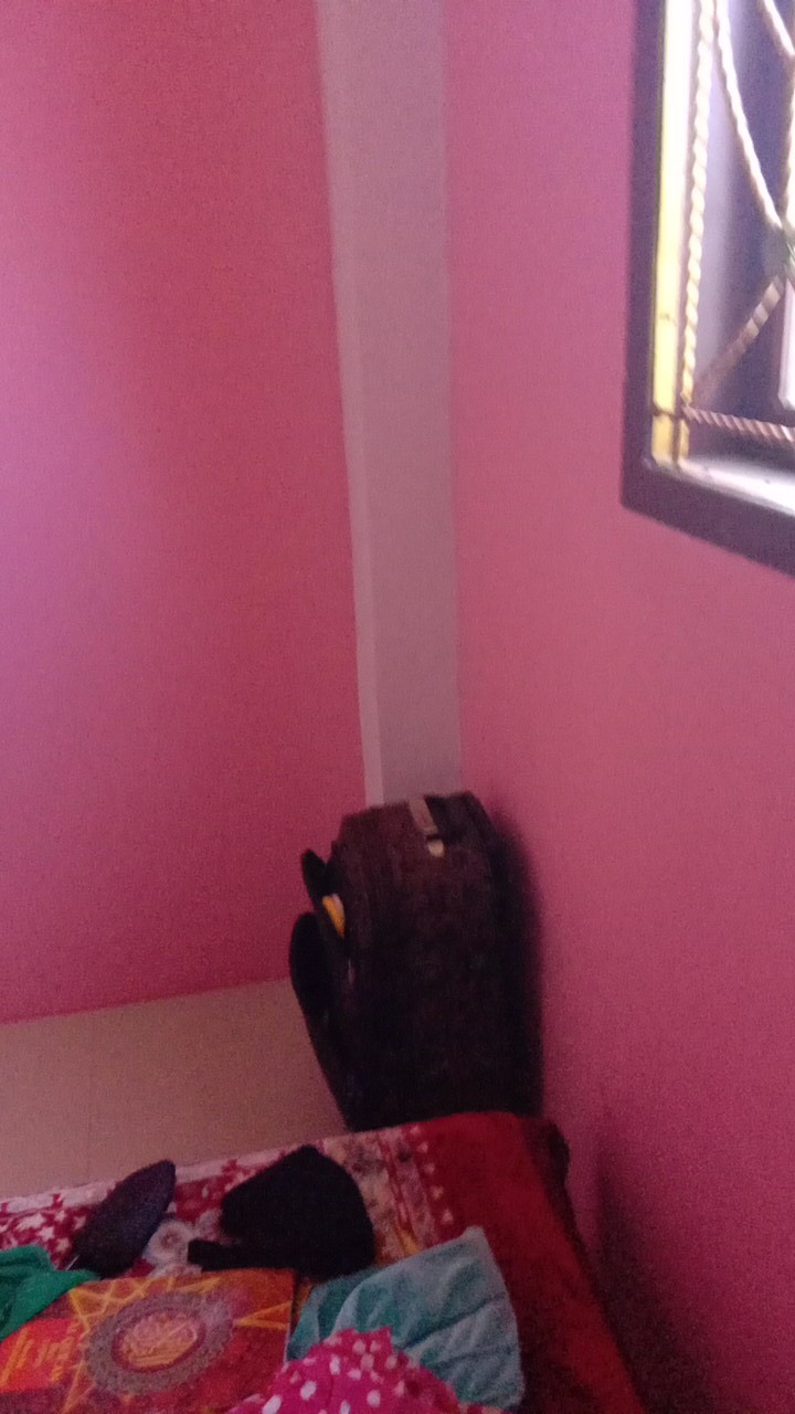 Kemeja Batik Pria Motif Abas