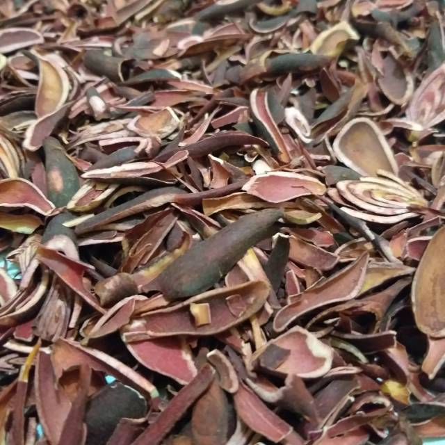 

Bawang Dayak kering asli herbal alami BDK01