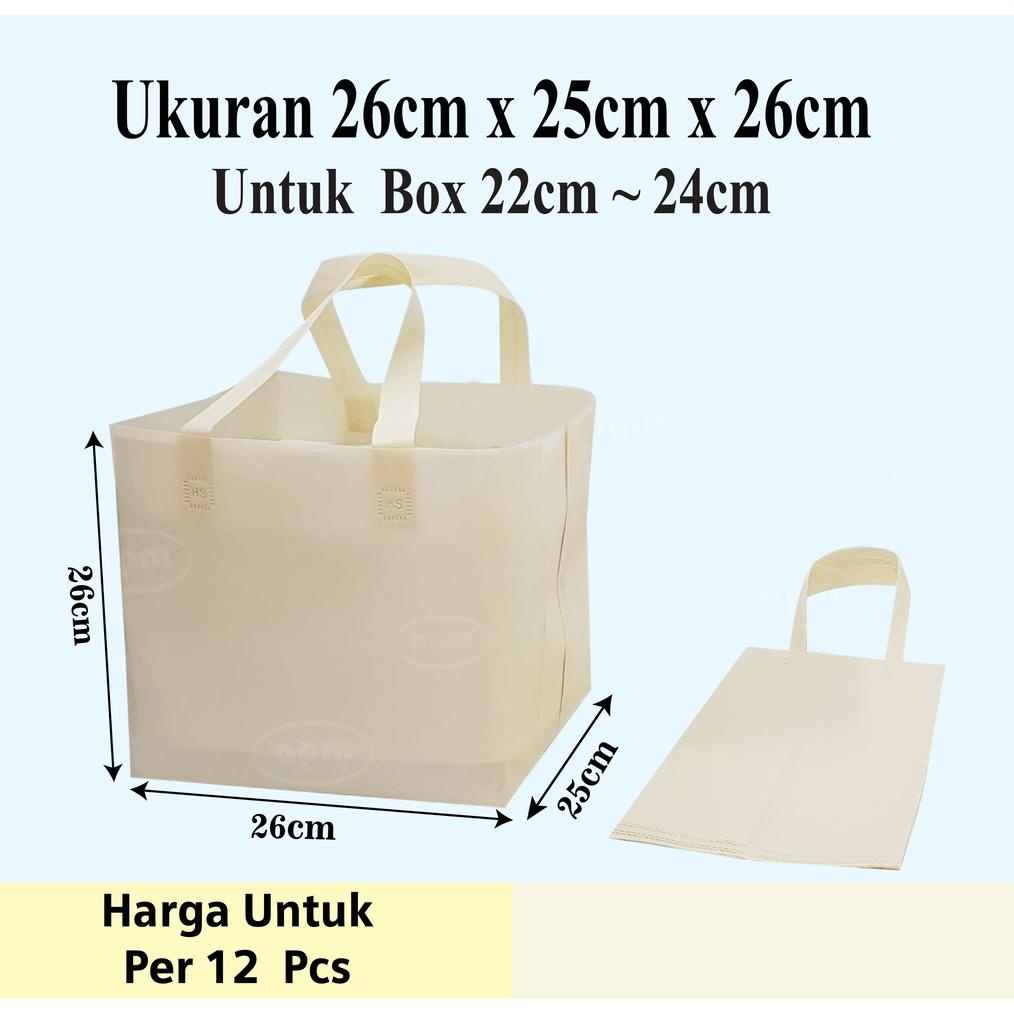

Tas Spunbond Kotak Ukuran 25Cm