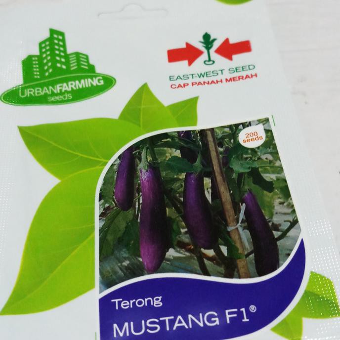 

Terong Ungu Pouch Anehid90 Ayo Beli