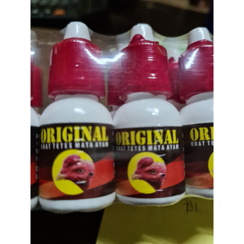 original obat tetes mata ayam tarung sakit infeksi kena jalu berair cacing mata katarak buta